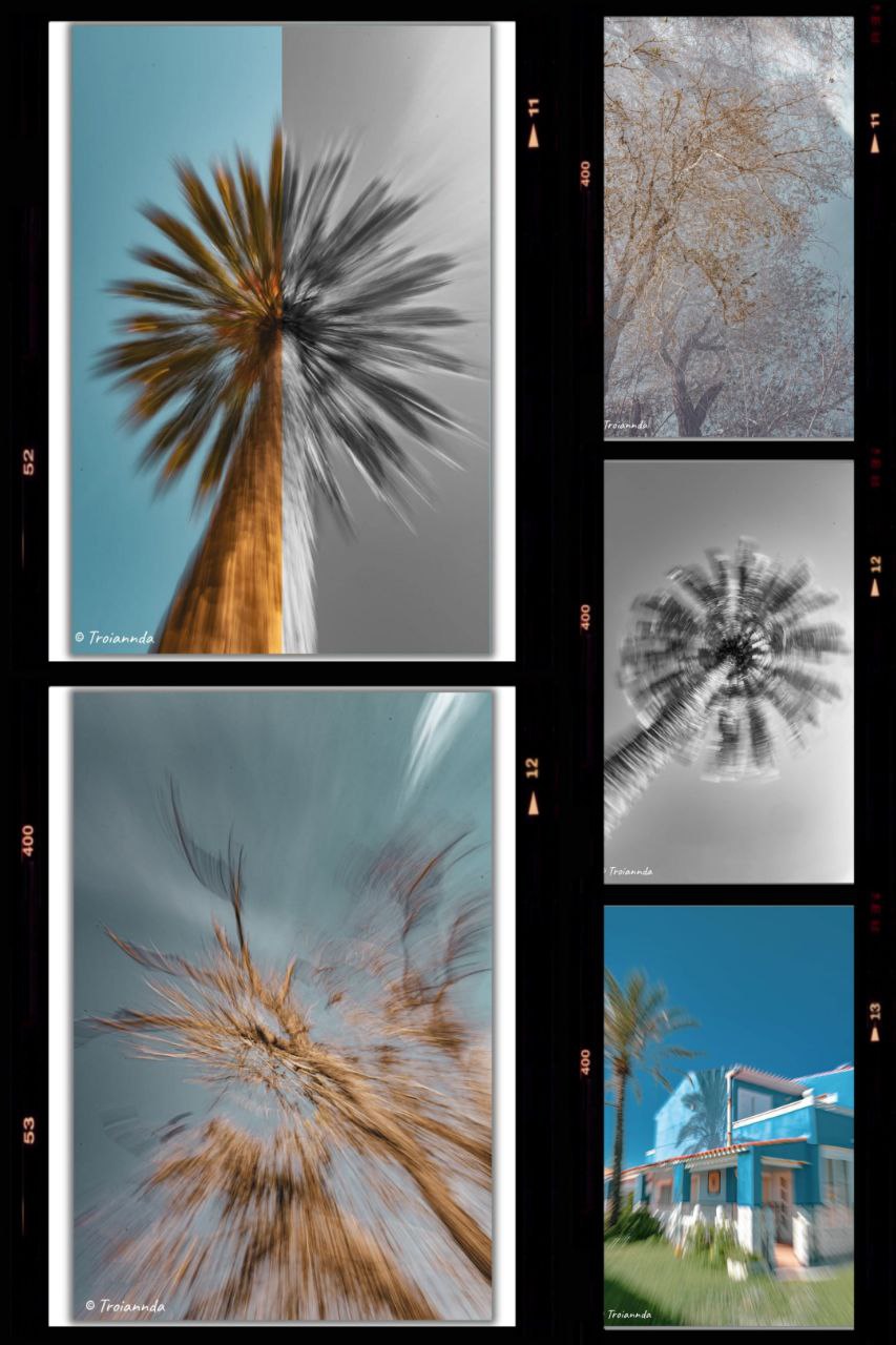 Art_photo_Troiannda_18