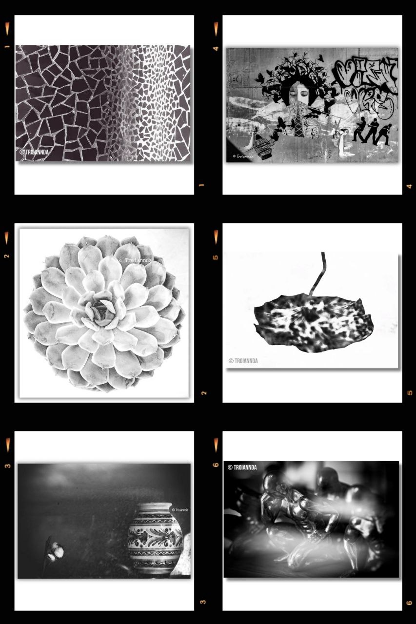 Art_photo_Troiannda_3